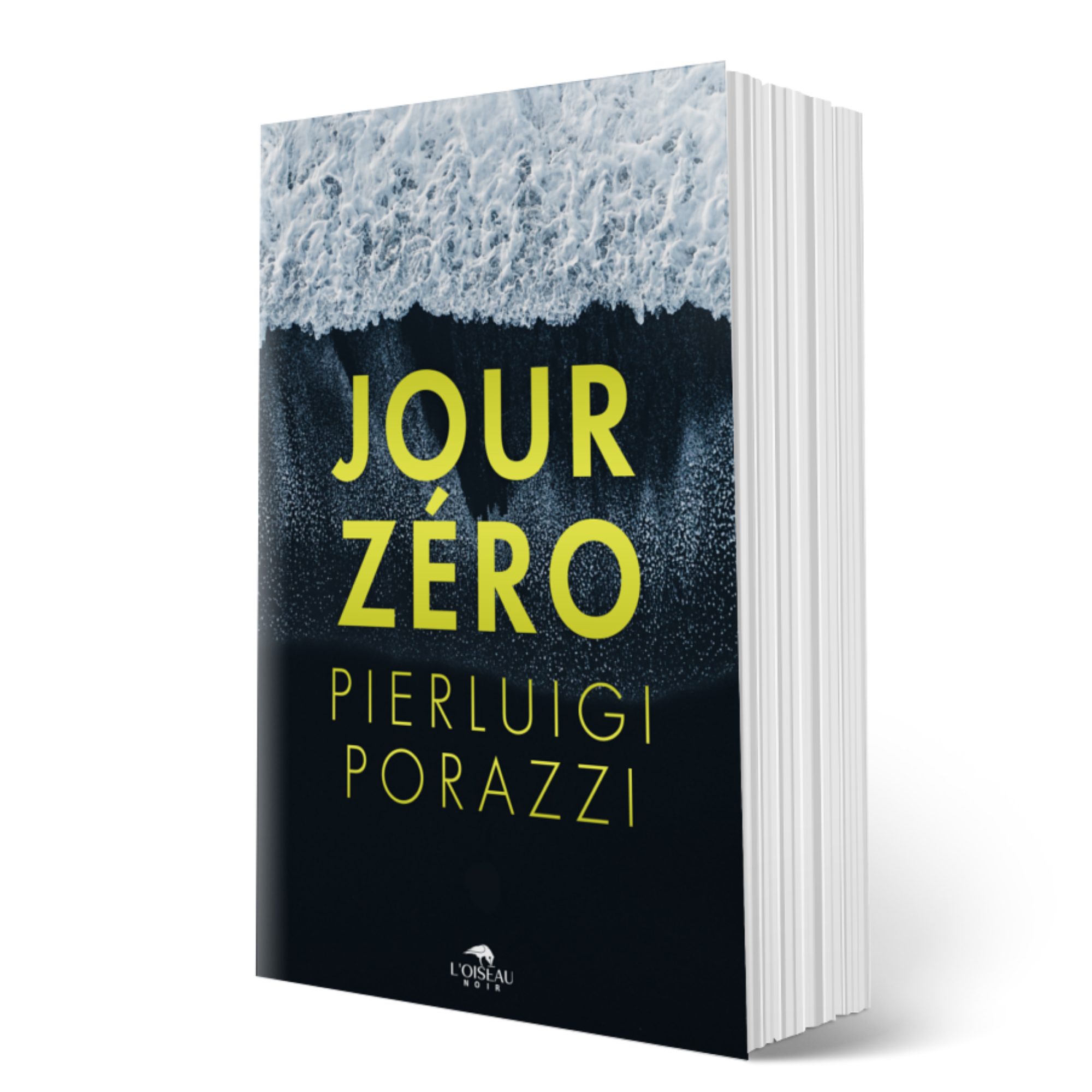L oiseau noir diteur de polars thrillers les meilleurs romans