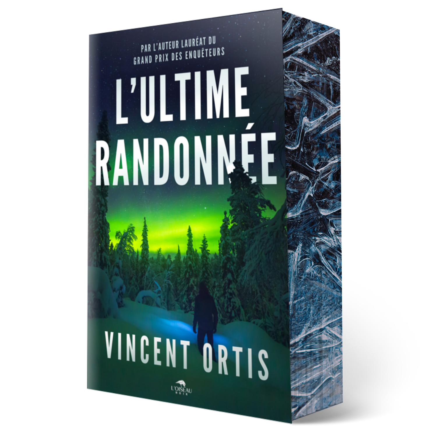Le livre L'Ultime randonnée, réalisé en 3D, met en scène un personnage solitaire lors d'une randonnée dans une forêt enneigée, sous une aurore verte. Le dos et le dos du livre présentent des textures givrées, semblables à de la glace.
