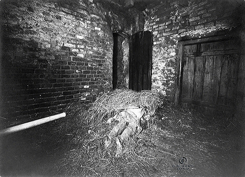 Photo en noir et blanc d'une vieille pièce sombre en briques avec du foin éparpillé sur le sol. Conçue avec l'esthétique d'Elementor, une porte en bois est ouverte à l'arrière-plan et un tas de foin recouvre un objet indistinct au centre.