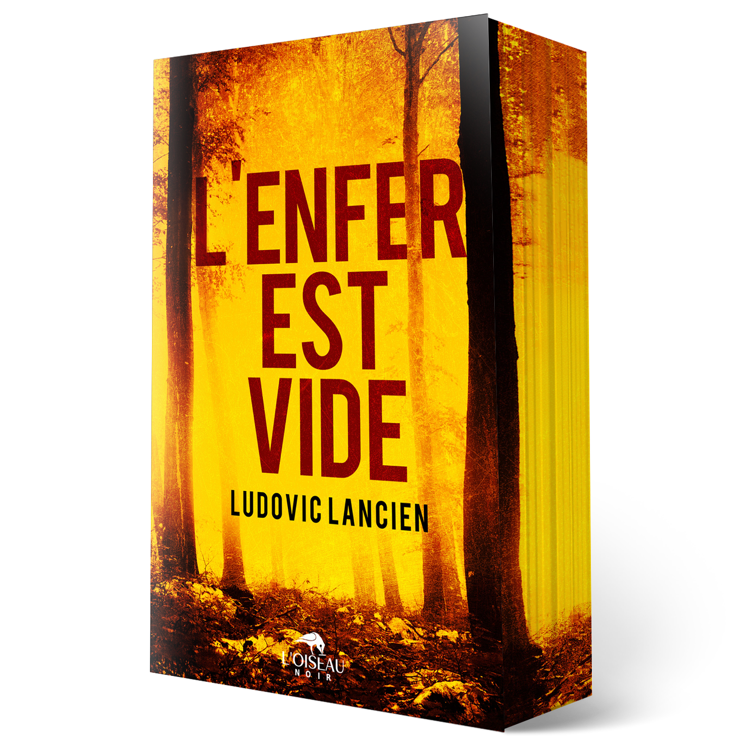 Un livre illustré en 3D intitulé « L'Enfer est vide ». La couverture représente de grands arbres dans une forêt dense aux teintes jaune-orange, éclairée par des rayons de soleil, avec le logo de l'éditeur LOISEAU NOIR en bas de l'image.
